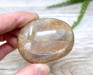 Peach Moonstone Chunky Palm Stone #3