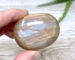 Peach Moonstone Chunky Palm Stone #3
