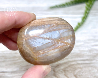 Peach Moonstone Chunky Palm Stone #3