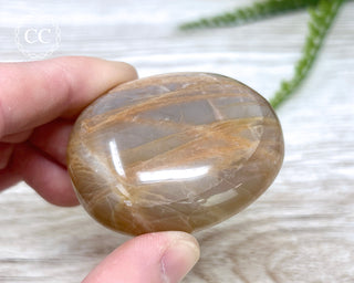 Peach Moonstone Chunky Palm Stone #3