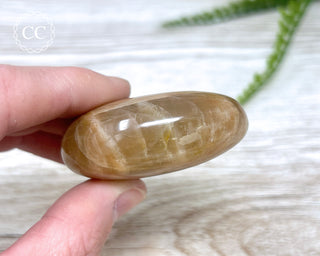 Peach Moonstone Chunky Palm Stone #3