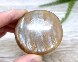 Peach Moonstone Chunky Palm Stone #4