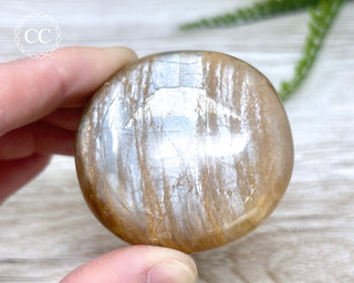 Peach Moonstone Chunky Palm Stone #4