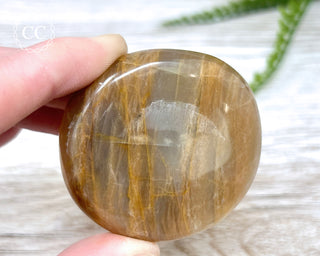 Peach Moonstone Chunky Palm Stone #4