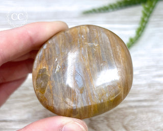 Peach Moonstone Chunky Palm Stone #4