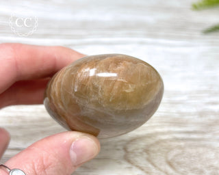 Peach Moonstone Palm Stone #1