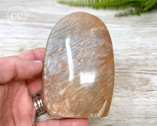 Peach Moonstone Freeform #2