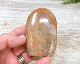 Peach Moonstone Freeform #6