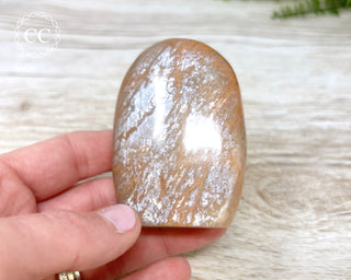 Peach Moonstone Freeform #6