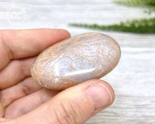 Peach Moonstone Chunky Palm Stone #1