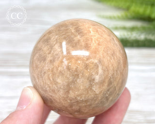 Peach Moonstone Sphere #1