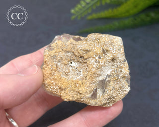 Clear Quartz Penetration Freeform #2