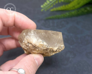 Clear Quartz Penetration Freeform #2