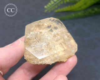 Clear Quartz Penetration Freeform #2