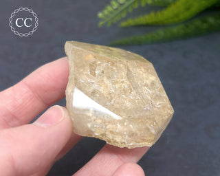 Clear Quartz Penetration Freeform #2