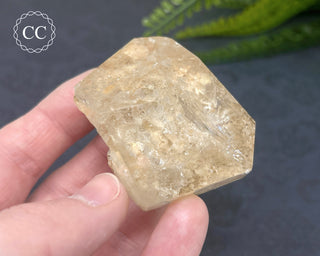 Clear Quartz Penetration Freeform #2