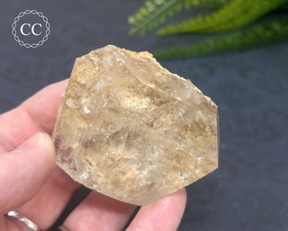 Clear Quartz Penetration Freeform #2