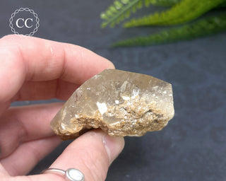 Clear Quartz Penetration Freeform #2