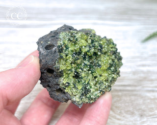Peridot Crystals on Basalt #10