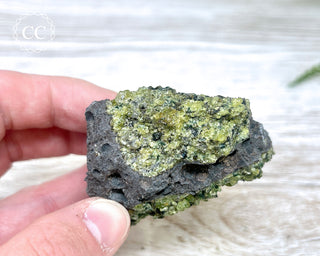 Peridot Crystals on Basalt #10