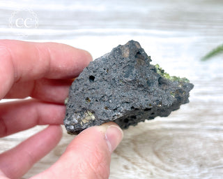 Peridot Crystals on Basalt #10