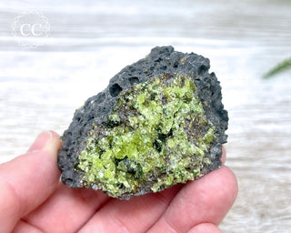 Peridot Crystals on Basalt #11