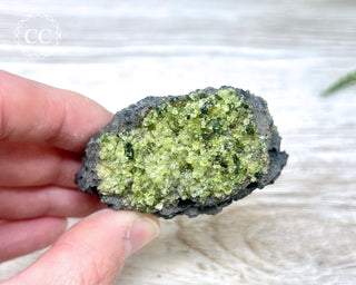 Peridot Crystals on Basalt #11