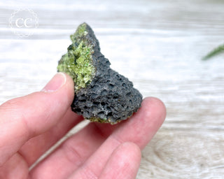 Peridot Crystals on Basalt #11