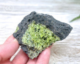 Peridot Crystals on Basalt #12