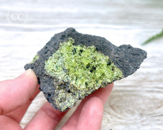 Peridot Crystals on Basalt #12