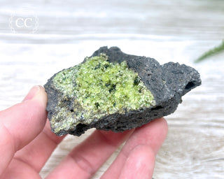 Peridot Crystals on Basalt #12