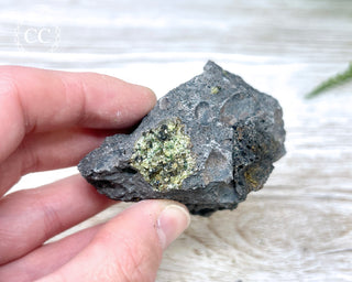 Peridot Crystals on Basalt #12