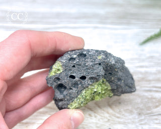 Peridot Crystals on Basalt #12