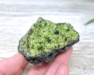 Peridot Crystals on Basalt #13