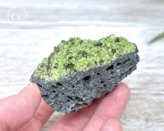 Peridot Crystals on Basalt #13