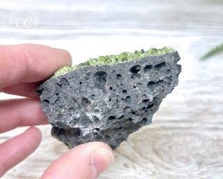 Peridot Crystals on Basalt #13