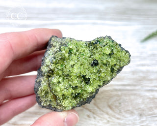 Peridot Crystals on Basalt #13