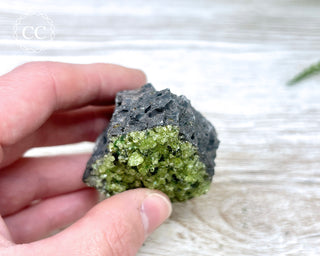 Peridot Crystals on Basalt #13