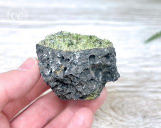 Peridot Crystals on Basalt #13