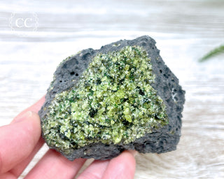 Peridot Crystals on Basalt #14