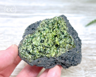 Peridot Crystals on Basalt #14