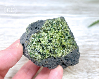 Peridot Crystals on Basalt #14