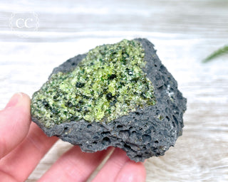 Peridot Crystals on Basalt #14