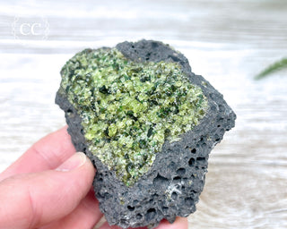 Peridot Crystals on Basalt #14