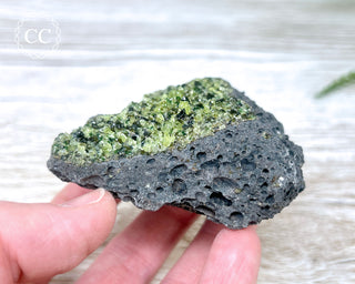 Peridot Crystals on Basalt #14