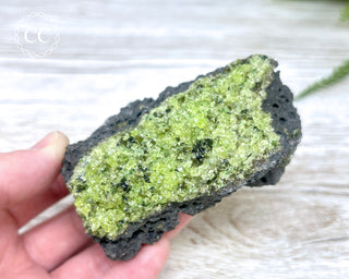 Peridot Crystals on Basalt #3