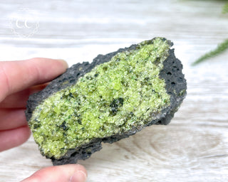 Peridot Crystals on Basalt #3