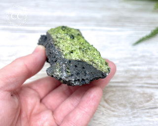 Peridot Crystals on Basalt #3
