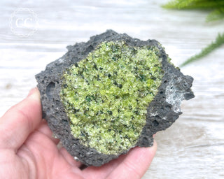 Peridot Crystals on Basalt #4