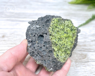 Peridot Crystals on Basalt #4
